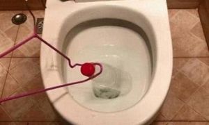 Lấy chai nhựa cho xuống bồn cầu, 5 phút sau chồng gọi vợ ra xem điều đặc biệt