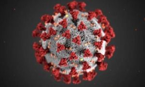 Biến thể virus Corona ở Anh có thể đã âm thầm lây lan ở Mỹ