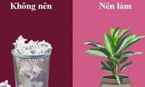 10 bí quyết làm việc để sự nghiệp thăng tiến, quan hệ với cấp trên và đồng...