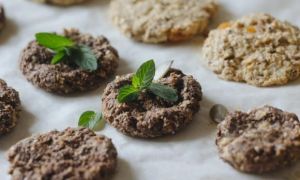 Đức cấm bán loại bánh quy làm từ mùn cưa