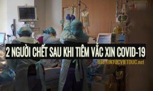 Na Uy điều tra vụ 2 người tử vong sau khi tiêm vắc xin Pfizer/BioNTech