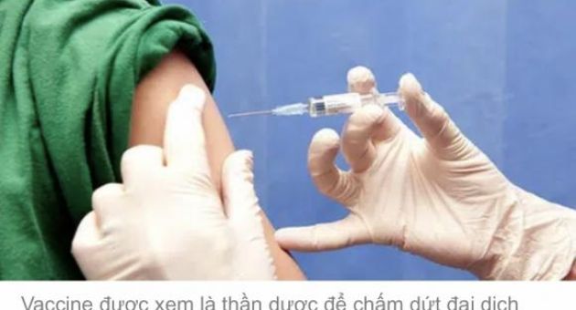 “So găng” hiệu quả của 7 loại vaccine Covid-19 trên thế giới