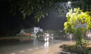 Cơn mưa 'vàng' giải nhiệt vùng quê Bình Phước