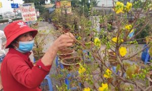 Sức mua chậm còn gặp mưa, người bán hoa trái ở Sài Gòn lo sốt vó