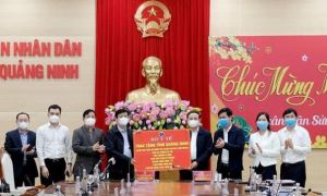 Quảng Ninh tuyên bố mua vắc xin ngừa COVID-19 tiêm cho người dân toàn tỉnh