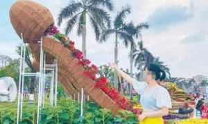 Tam Kỳ chỉnh sửa tạo hình hoa xuân mà dân mạng chế giễu 'nhạy cảm'