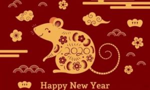 Chuyên gia phong thủy phán gì về tài chính, sự nghiệp 12 con giáp trong năm...