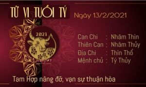 Tử vi thứ 7 ngày 13/2/2021 của 12 con giáp: Mùng 2 Tết, Tị vượng tài, Dậu đón...