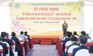 Ông Chu Ngọc Anh khuyến khích hộ gia đình trồng cây để Hà Nội 4 mùa hoa nở