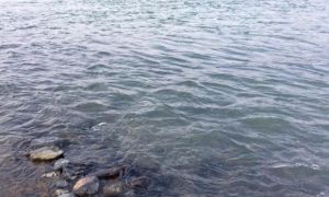 Nước sông Hồng chuyển màu trong xanh