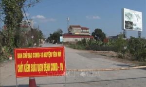 Ổ dịch xã Yên Phú (Hưng Yên) đã được kiểm soát