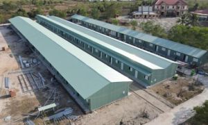 Kiên Giang xét nghiệm cho cán bộ, chiến sĩ, nhân viên y tế trong các khu cách ly