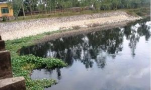 Nước sông Nhuệ bốc mùi hôi, báo động ô nhiễm cấp độ 2