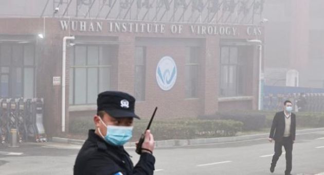 WHO bất ngờ hủy công bố báo cáo sơ bộ về nguồn gốc virus corona ở Vũ Hán