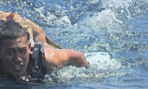 Hải quân Thái Lan đốn tim với việc bơi cứu 4 con mèo từ tàu sắp chìm