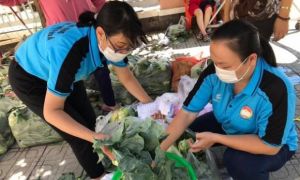 Người Sài Gòn bán bắp cải, su hào giúp nông dân Hải Dương