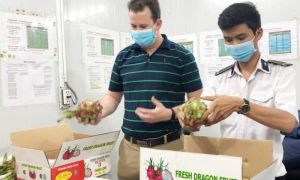 Nông sản Việt bán sang Mỹ vượt Trung Quốc