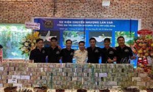 Tổng cục Thuế tiết lộ sốc về các thương vụ lan đột biến tiền tỷ