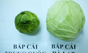 Người bán rau củ không bao hé răng cho bạn biết: 3 giây để phân biệt hàng Việt...