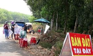 /thumb/thumb.php?src=images/stories/content/2021/04/03/42_1_sot-dat-nhu-sot-lan-dot-bien-he-lo-su-that-chieu-lam-giau-khong-kho.jpg&w=300&h=180&zc=1&q=80&a=c