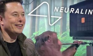 Tận mắt chứng kiến con khỉ của Elon Musk chơi game như người