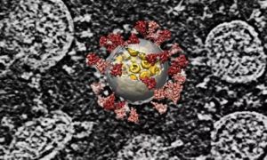 Các nhà khoa học tìm ra cách tiêu diệt coronavirus trong giây phút