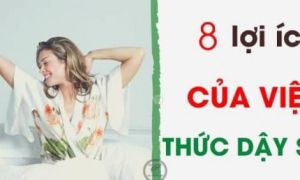 8 lợi ích khi thức dậy sớm