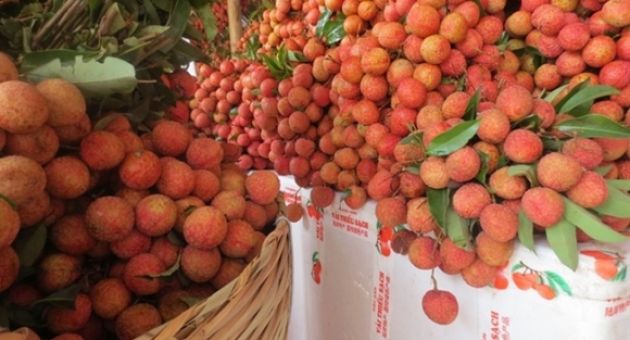Bất ngờ giá bán quả vải Việt Nam ở siêu thị Nhật lên tới nửa triệu mỗi kg