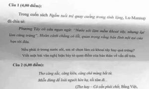 Đề văn 'nếu em phải ở trong nước sôi...' bị cho là phản giáo dục