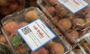 Lần đầu tiên 5 tấn vải thiều Bắc Giang có mặt tại thị trường Đức