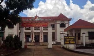 Sự dối trá ngự chốn pháp đình