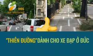 Một vài hình ảnh