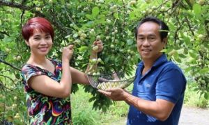 Bí quyết 'trốn' trong nhà tránh dịch của cặp vợ chồng Việt
