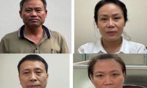 Nâng khống hàng chục tỷ đồng giá cây xanh ở Hà Nội: Khởi tố 4 bị can