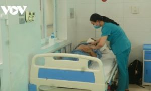 Ngại dịch COVID-19 không đến viện, nhiều ca mắc sốt xuất huyết nguy kịch