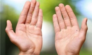 Bỏ ra 3 giây nhìn vào đặc điểm bàn tay, biết ngay hậu vận ai sướng, ai khổ