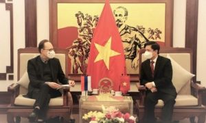 Thúc đẩy hợp tác Việt Nam-Nga trong lĩnh vực giao thông vận tải