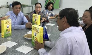 Gạo thơm Việt Nam sẽ mất cơ hội thi 'Gạo ngon nhất thế giới'?
