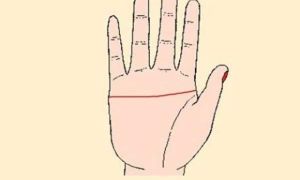 Cách tự xem đường chỉ tay tài vận, biết ai hưởng số phú quý, ai cả đời làm ăn...