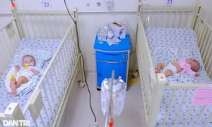 Sinh rớt tại nhà, thương bé gái ở TPHCM bị mẹ nhẫn tâm chối bỏ