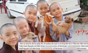 Tịnh thất Bồng Lai nói