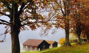 Khách Việt bày cách du lịch châu Âu tự túc