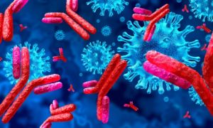 AstraZeneca sắp về đích trong cuộc đua thuốc trị Covid-19