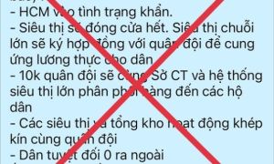 /thumb/thumb.php?src=images/stories/content/2021/11/26/1_tphcm-vao-tinh-trang-khan-la-thong-tin-bia-dat.jpg&w=300&h=180&zc=1&q=80&a=c
