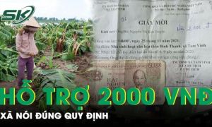 Vụ nhận 2.000 đồng hỗ trợ thiệt hại do bão ở Quảng Nam: Người nhận nói gì?