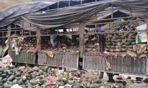 Vài nghìn container