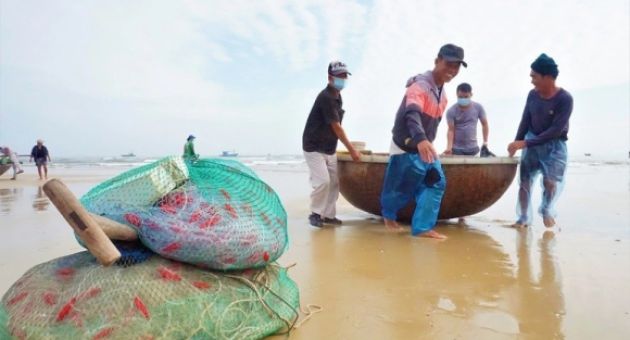 Bám biển vài tiếng, ngư dân thu tiền triệu nhờ ngón nghề