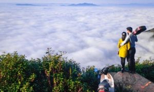 Để được ngưỡng mộ, tôi tìm vợ đẹp bằng mọi giá