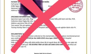 Sở Y tế TP.HCM bác tin đồn 'Bệnh viện FV TP.HCM phát hiện ca mắc biến chủng...