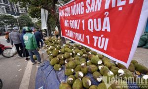 Mít Thái tràn về Hà Nội, giá rẻ ê hề chất đống đầy vỉa hè